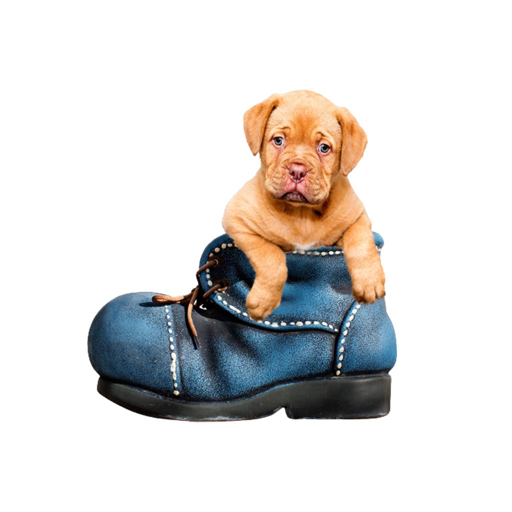 Soft Mini Bed For Dog - Image 2